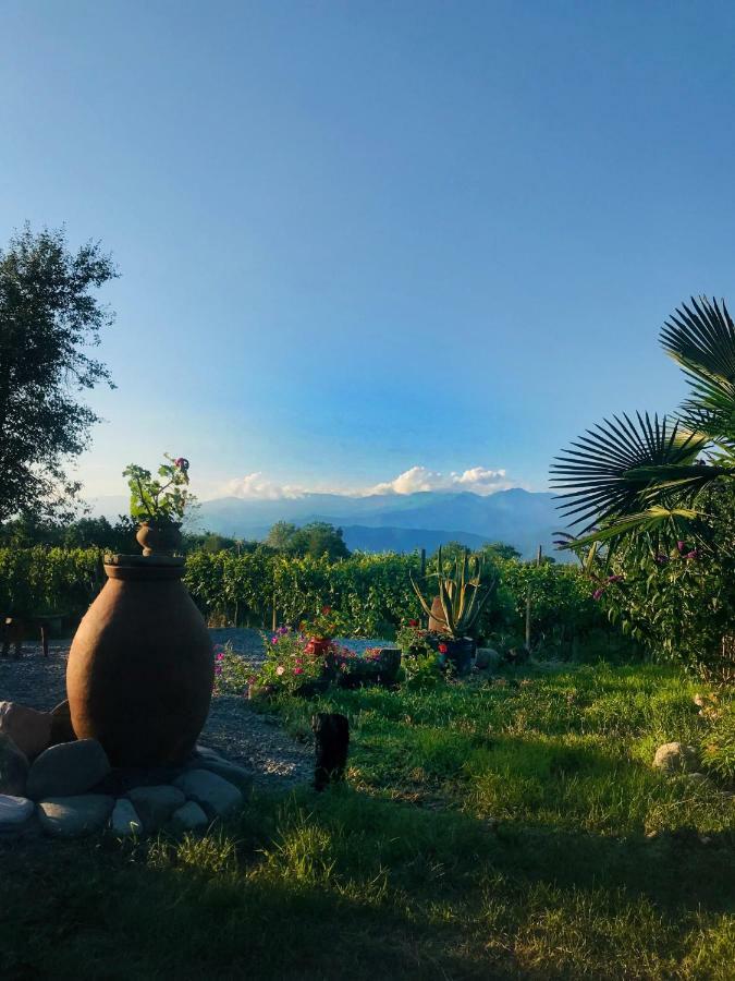 Villa Tsinandali Luaran gambar